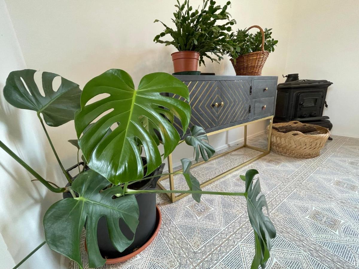 Cilka'S House, Authentic Homestay Near Lipica Sežana Εξωτερικό φωτογραφία