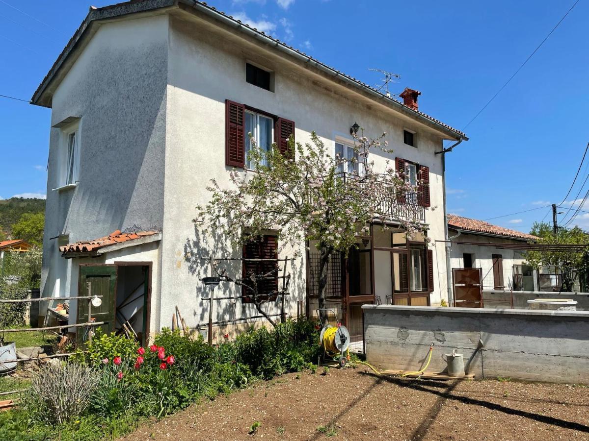 Cilka'S House, Authentic Homestay Near Lipica Sežana Εξωτερικό φωτογραφία